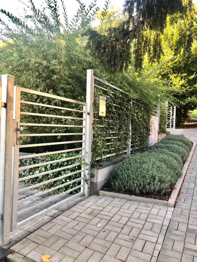 Apartmany Benesov Benesov nad Ploucnici Buitenkant foto