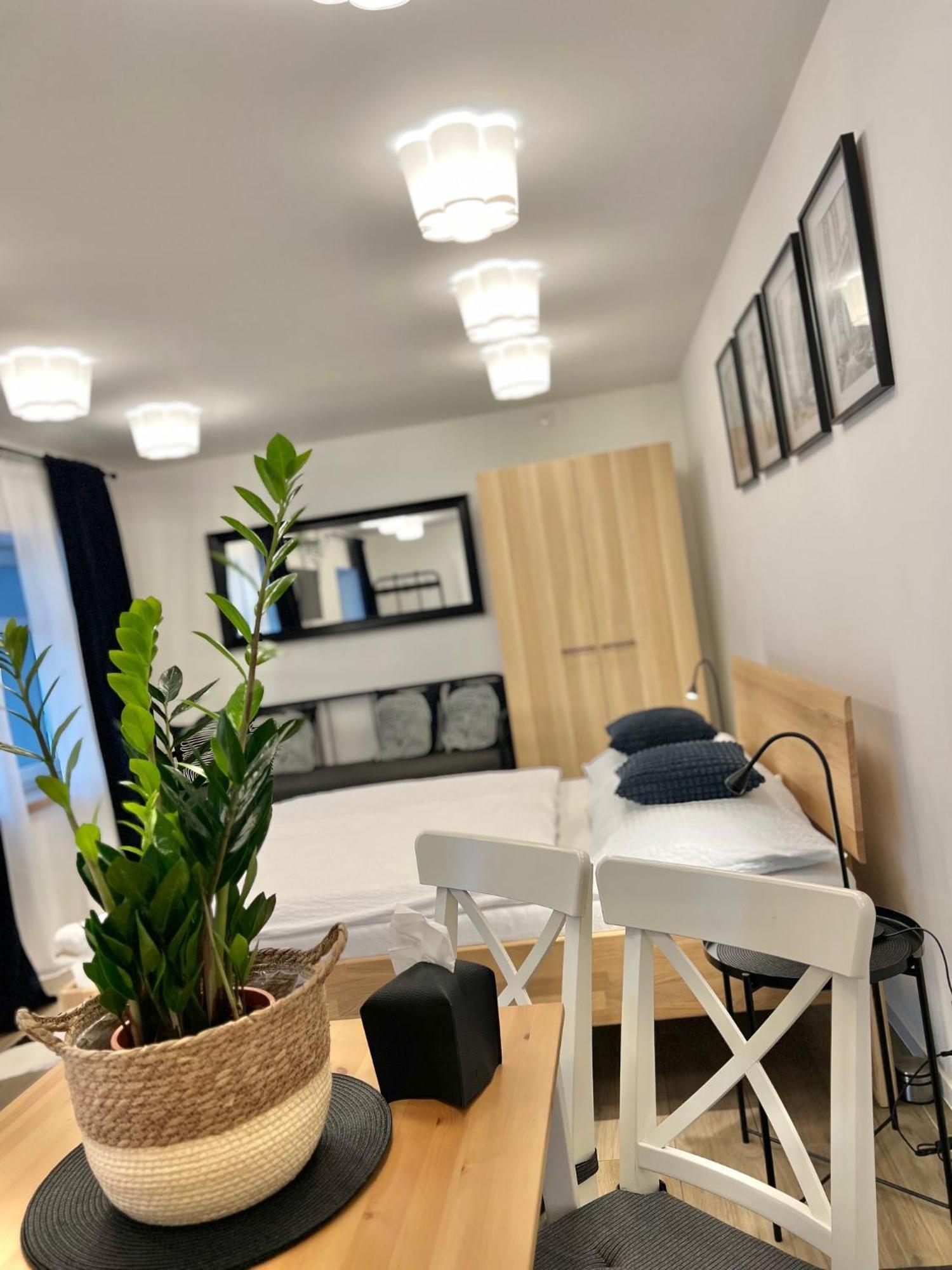 Apartmany Benesov Benesov nad Ploucnici Buitenkant foto