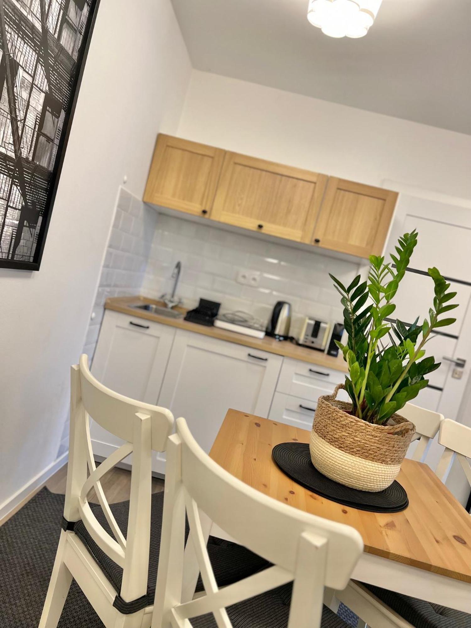 Apartmany Benesov Benesov nad Ploucnici Buitenkant foto