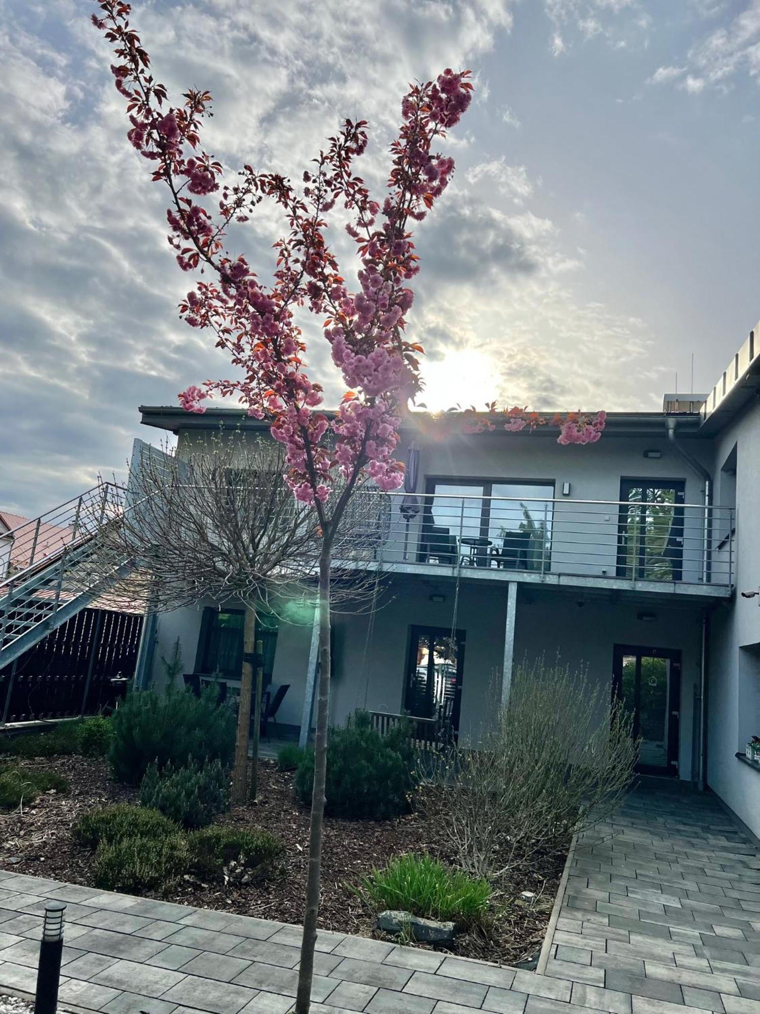 Apartmany Benesov Benesov nad Ploucnici Buitenkant foto